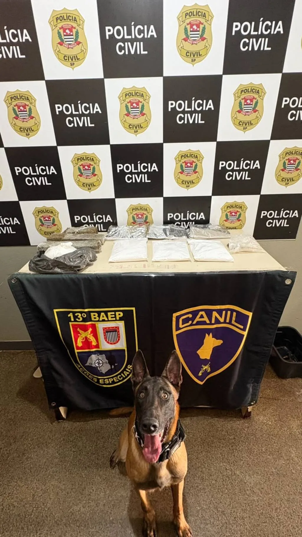 Cão farejador Rocky encontrou entorpecente escondido de área de mata fechada na zona rural de Igaraçu