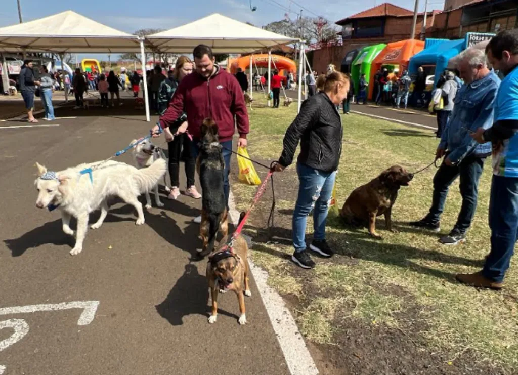 Pessoas conduzem cães de diferentes raças na coleira em um evento ao ar livre, com tendas e brinquedos infláveis ao fundo.