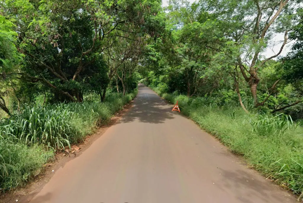 Estrada de asfalto com vegetação verde nas laterais e placa de sinalização nas cores laranja e branca