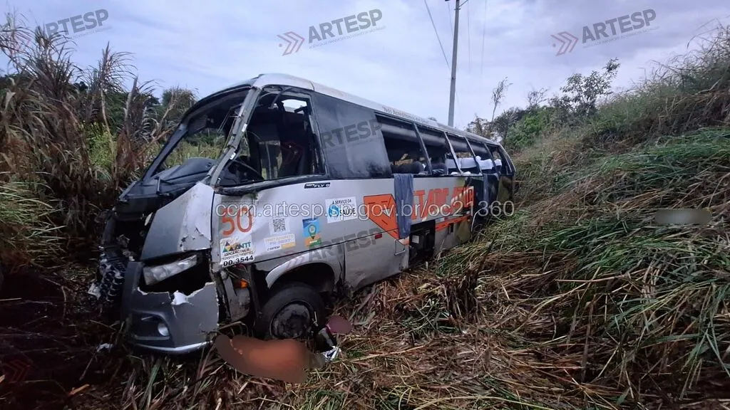 microonibus destruído parado em matagal ao lado de rodovia