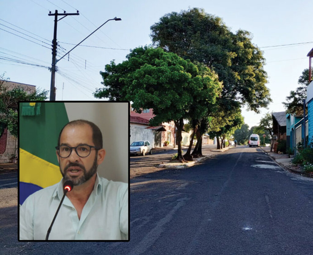 Requerimento cobra poda de árvores no Jardim das Acácias