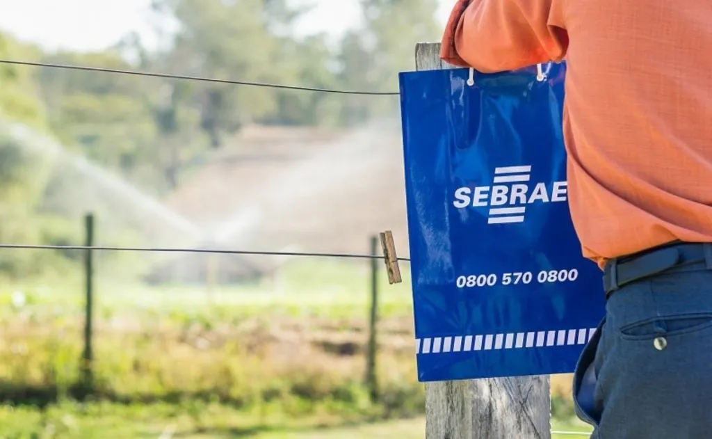 Sebrae-SP abre inscrições para agentes locais de inovação rural com bolsas de R$ 6,5 mil