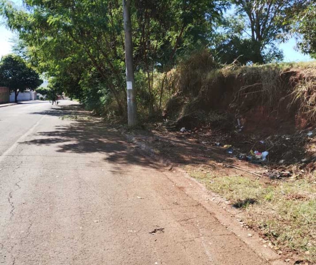 Câmara cobra providências quanto à limpeza da SP-255